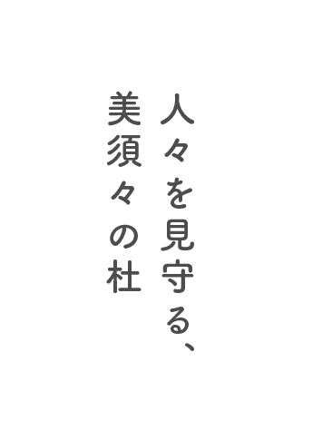 人々を見守る、美須々の社